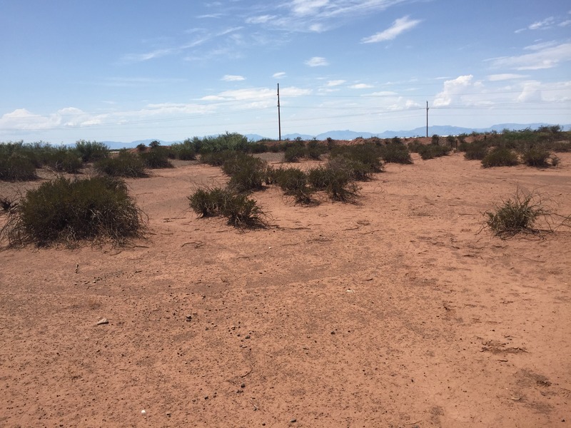 View to the west from the confluence.