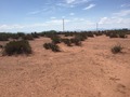 #7: View to the west from the confluence.