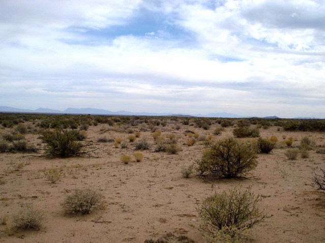 View from the confluence