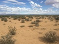 #3: View to the east from the confluence.