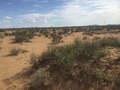 #5: View to the south from the confluence.