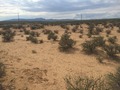 #6: View to the west from the confluence.