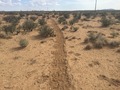 #7: Cattle trail 100 meters south of the confluence.