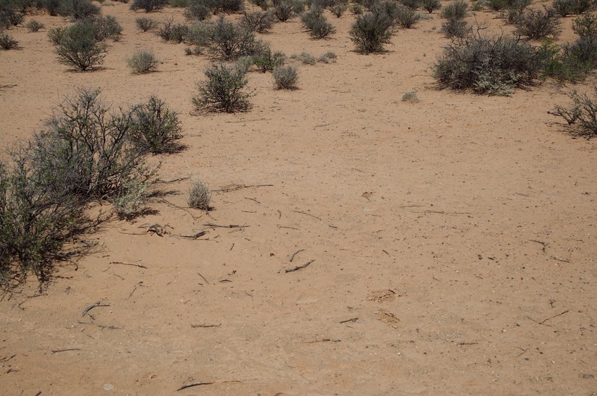 A typical western US desert confluence point