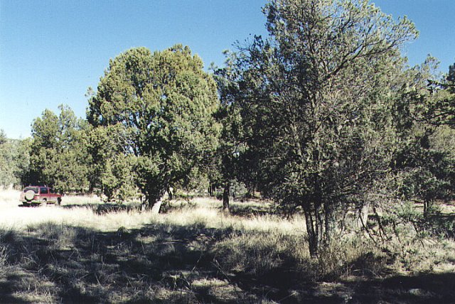 View looking north toward the Chevy Blazer