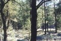 #2: View looking east toward the Mimbres River