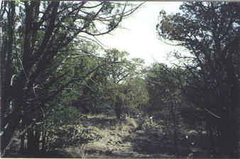 #1: Looking North From the Confluence