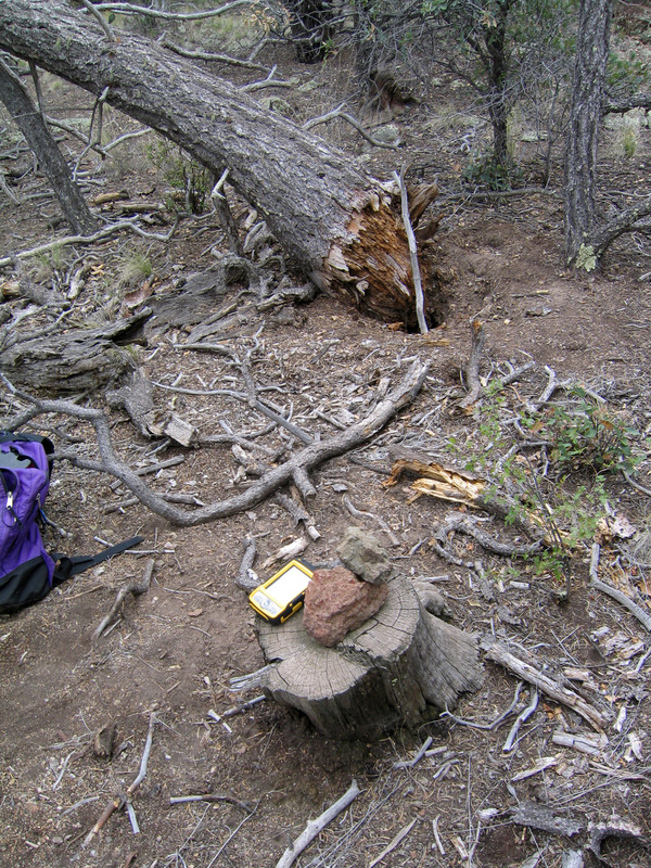 Confluence Stump