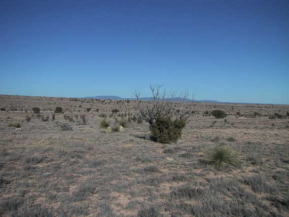 Looking NE towards Gallinas Peak and Rough Mountain.