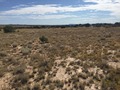 #4: View to the east from the confluence.