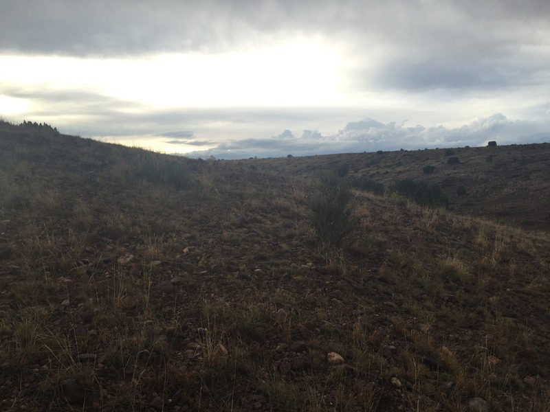 View to the west from the confluence.