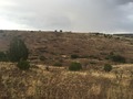 #2: View to the north from the confluence.