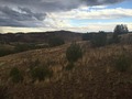 #3: View to the east from the confluence.