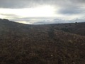 #5: View to the west from the confluence.