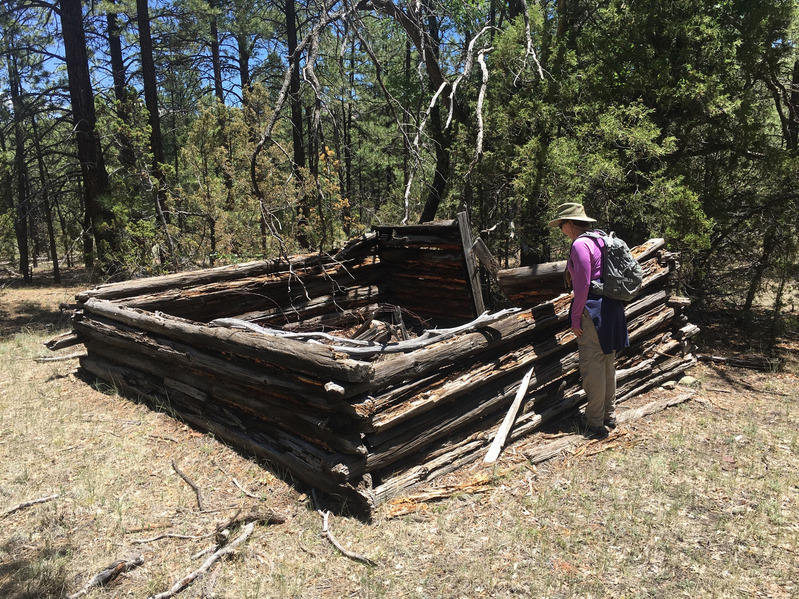 Old cabin on way back