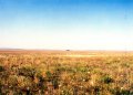 #2: View to SSE of confluence; ranch house in trees.