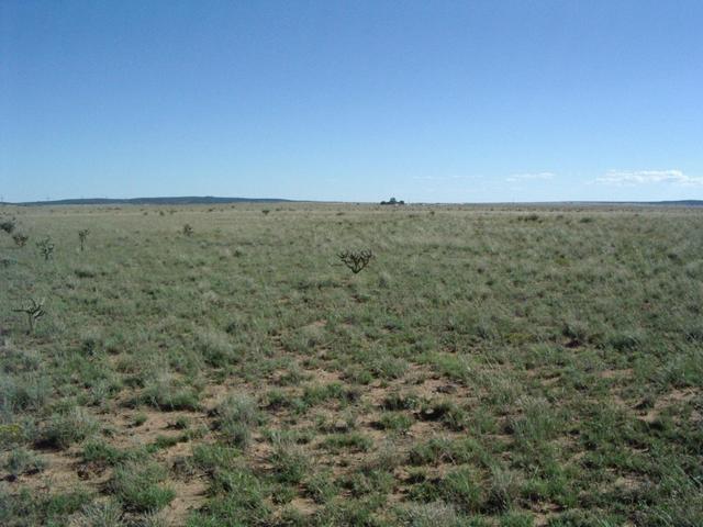 Looking east from N35 W105