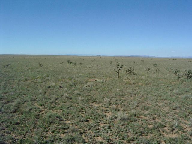 Looking west from N35 W105