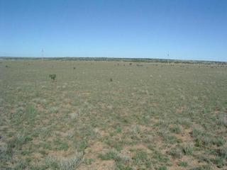 #1: Looking north from N35 W105