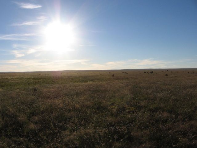 Facing west (an hour from sunset)