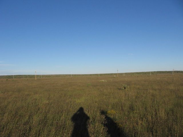 Facing east (power lines visible and US-84 traffic)