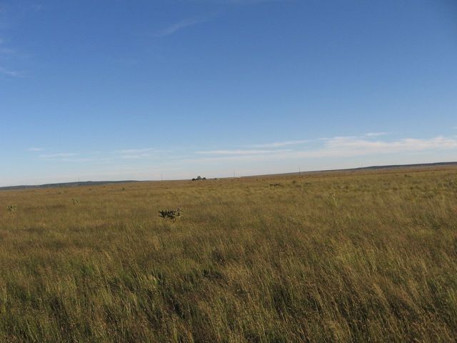 Facing south (farmhouse visible and I-40 traffic)