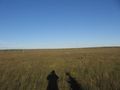 #3: Facing east (power lines visible and US-84 traffic)