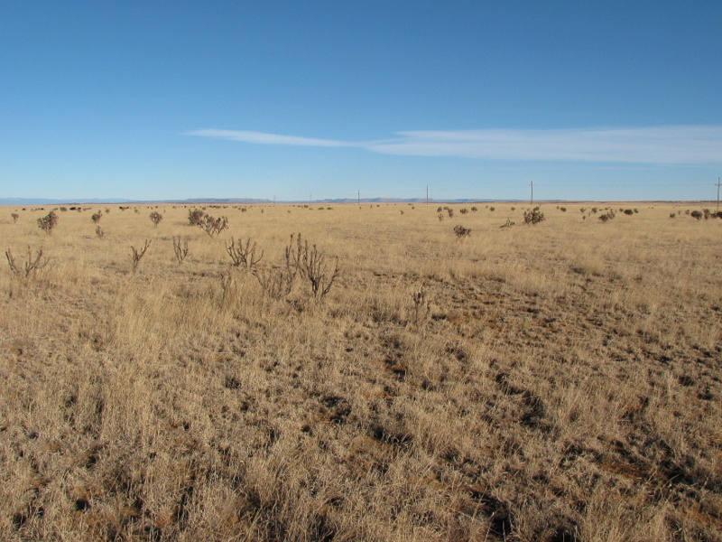 North - cows can be seen in the distance on the left