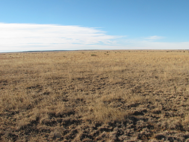 South - Interstate 40 passes in the distance