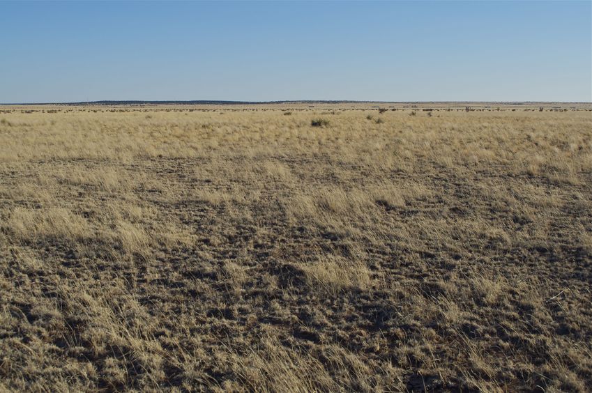 View South (towards I-40)