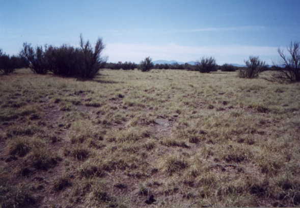 Northwest towards the mountains