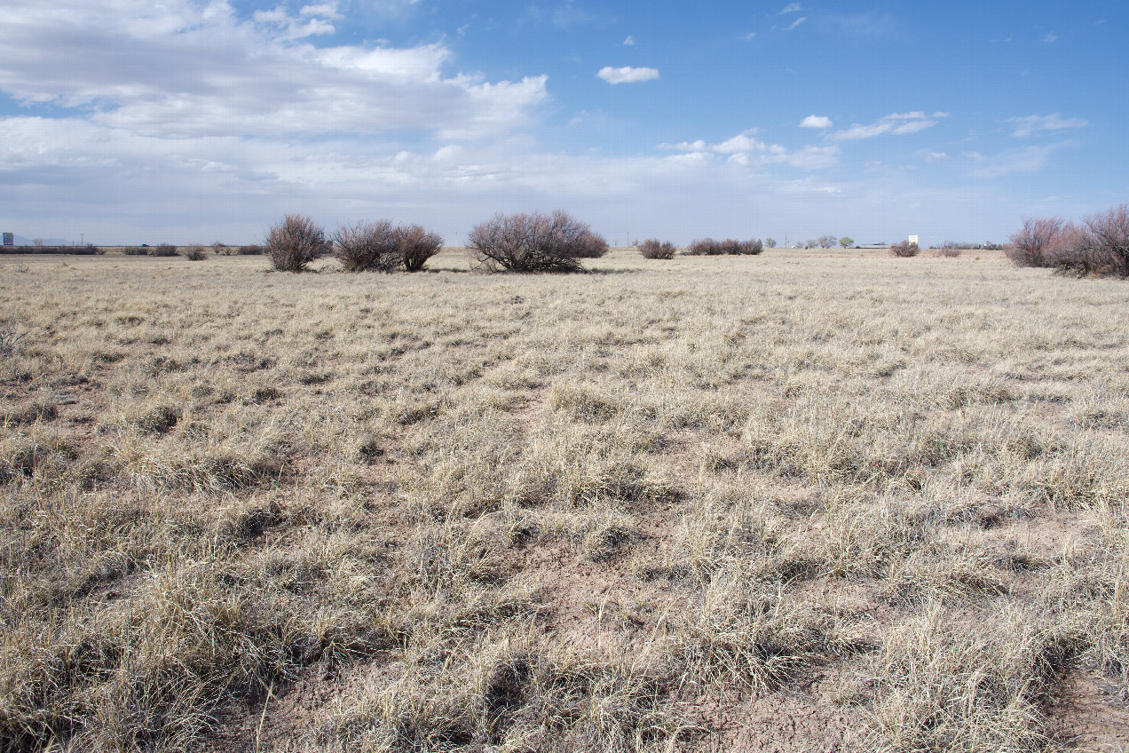 View North (towards Interstate 40)