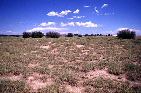 Looking north to Interstate 40. Note the red truck on left.