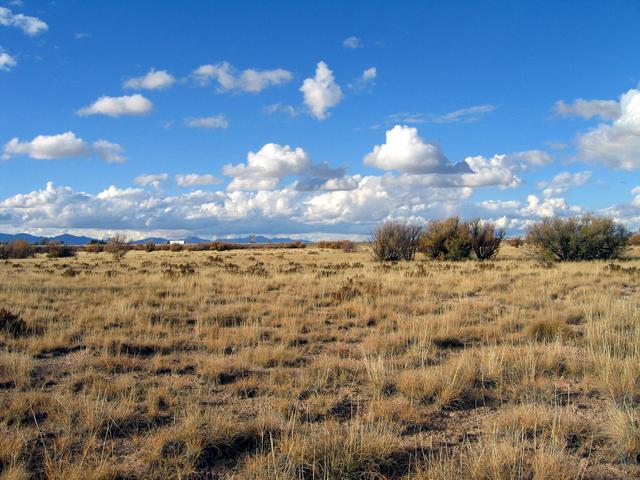 View North towards Interstate 40