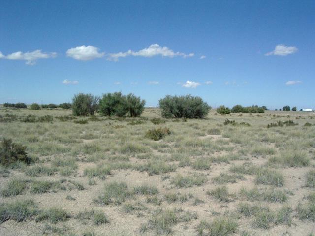 Looking North from N35 W106