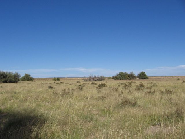 Facing North (I-40 traffic visible)