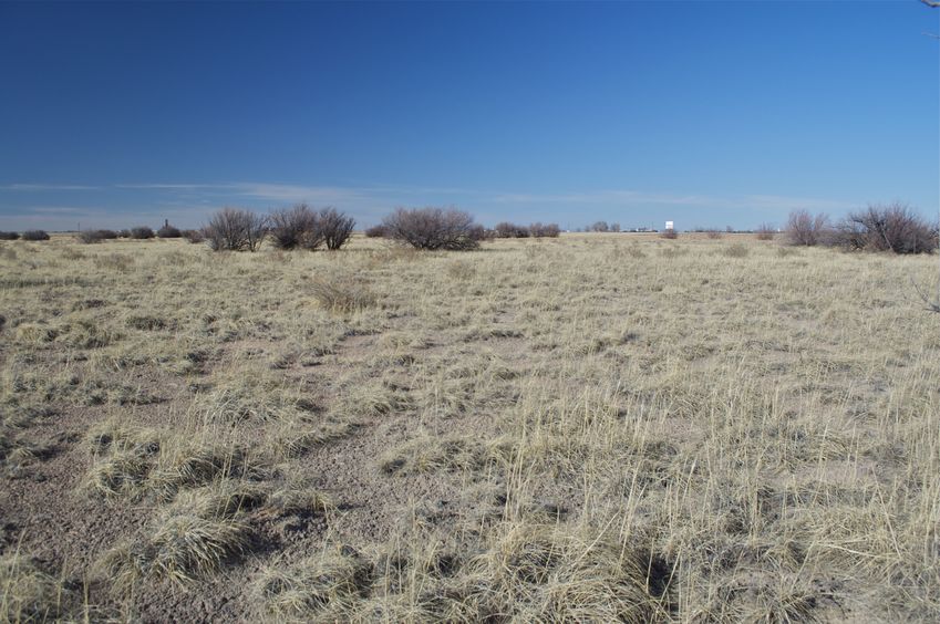 View North (towards I-40)