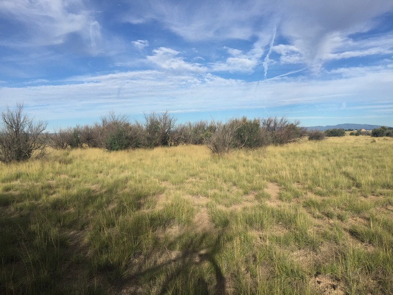 View to the west from the confluence.