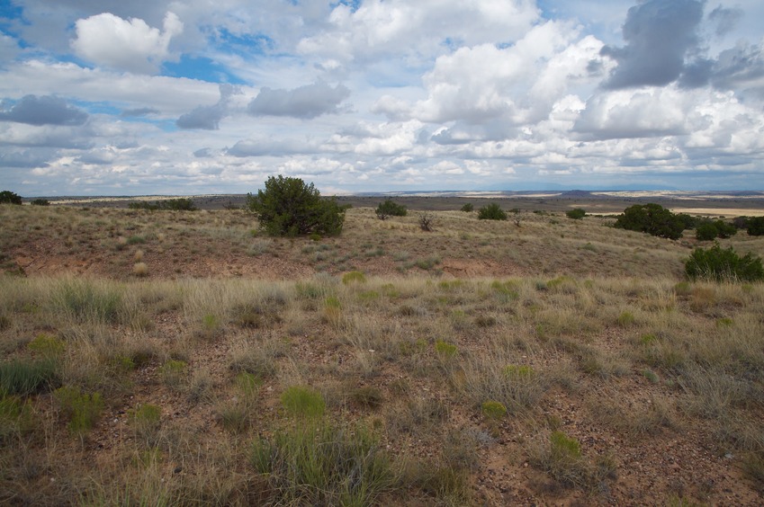 View East (with part of I-40 visible at the top left)