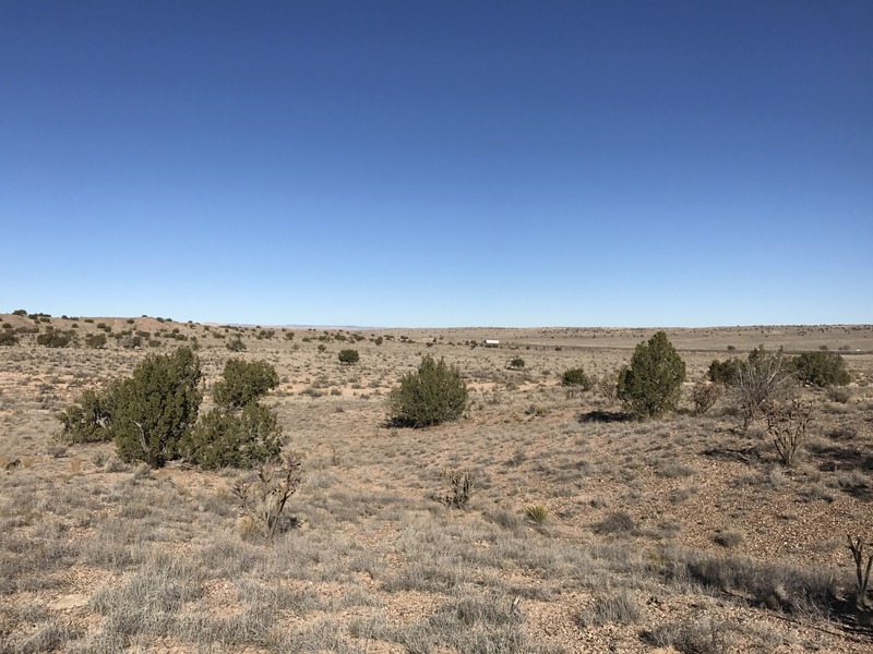 Looking north from near the confluence point. I-40 is visible in the distance. 