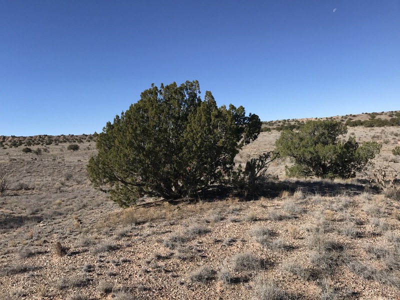 Looking west from near the confluence point.