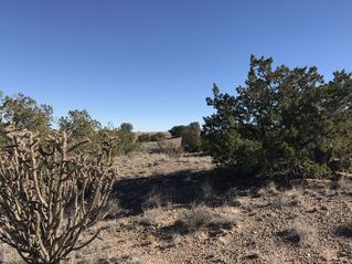 #1: The confluence of 35 North 107 lies on the right side of this image, in the background, up the slope.  Looking south.