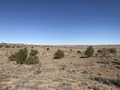 #2: Looking north from near the confluence point. I-40 is visible in the distance. 