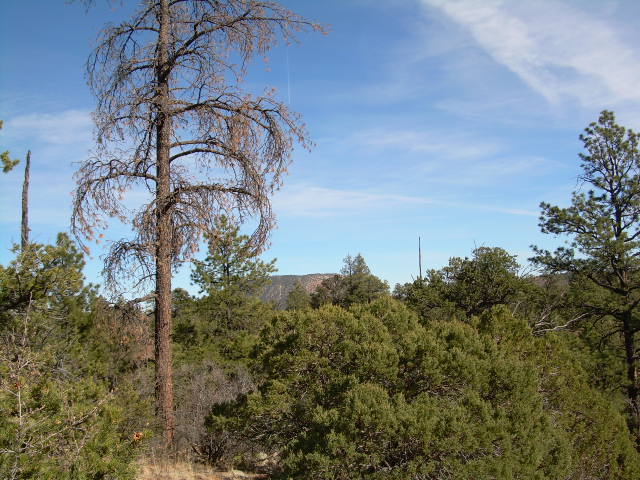 Mesa east of CP used as a visual reference while hiking.