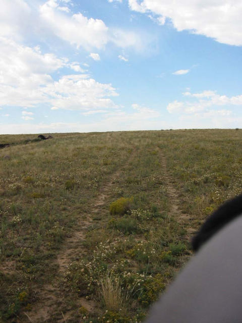 The "road" to the confluence.