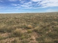 #3: View to the north from the confluence.