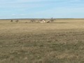 #7: View of abandoned prairie house, looking west, about 1 km west of confluence.