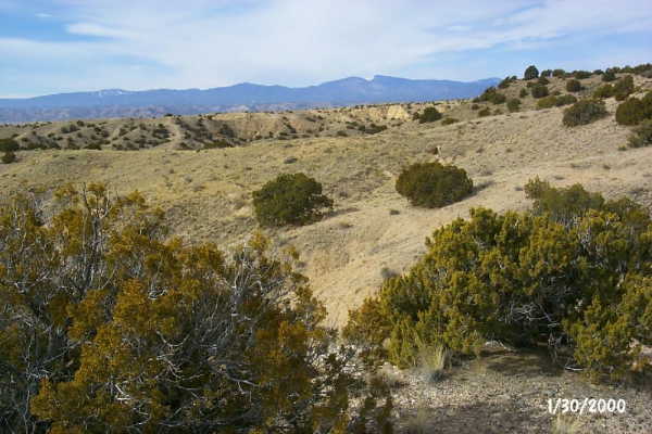 View to the west.  Jemez Mountains in the distance.