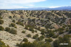 #1: View to the east.  Sangre De Cristo Mountains in the distance.