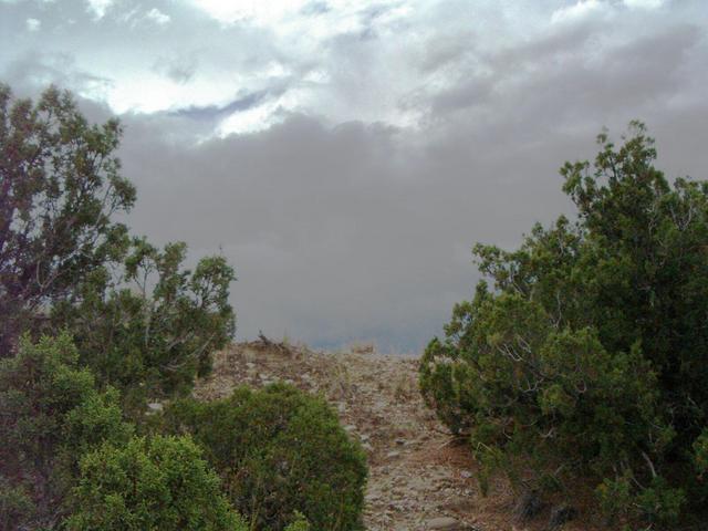 Looking west from N36 W106 up to the top of the hill